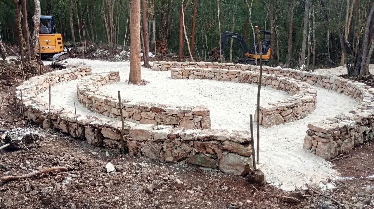 Huerto 4